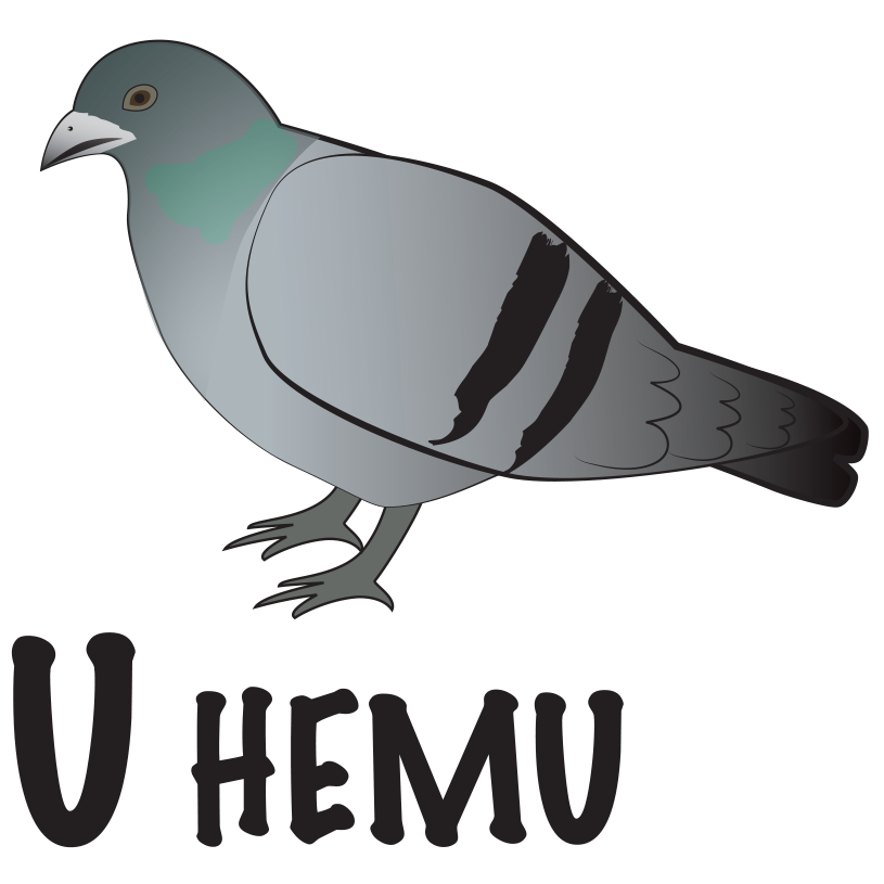 SENĆOŦEN